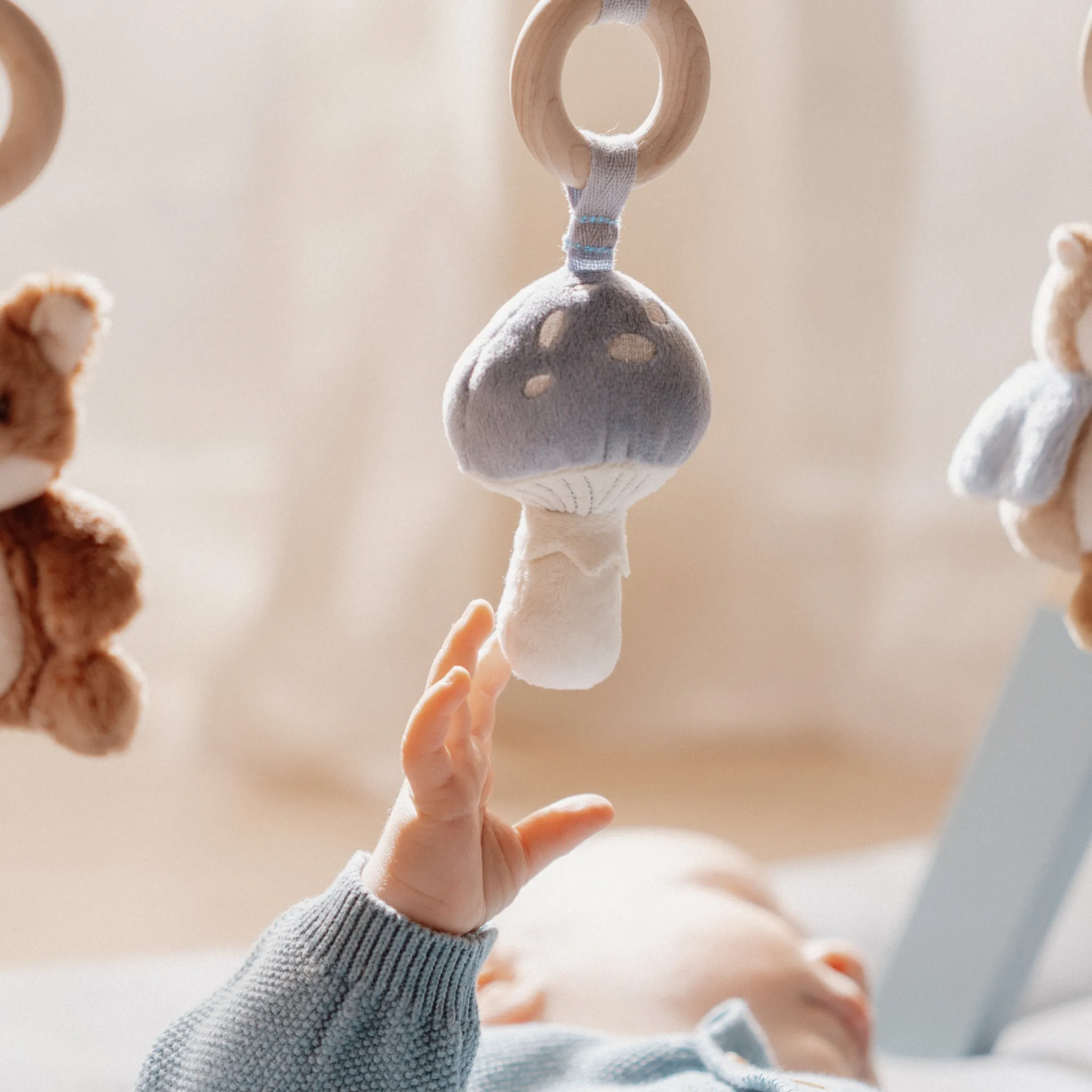 Little Dutch Baby Play Gym - Forest Friends
