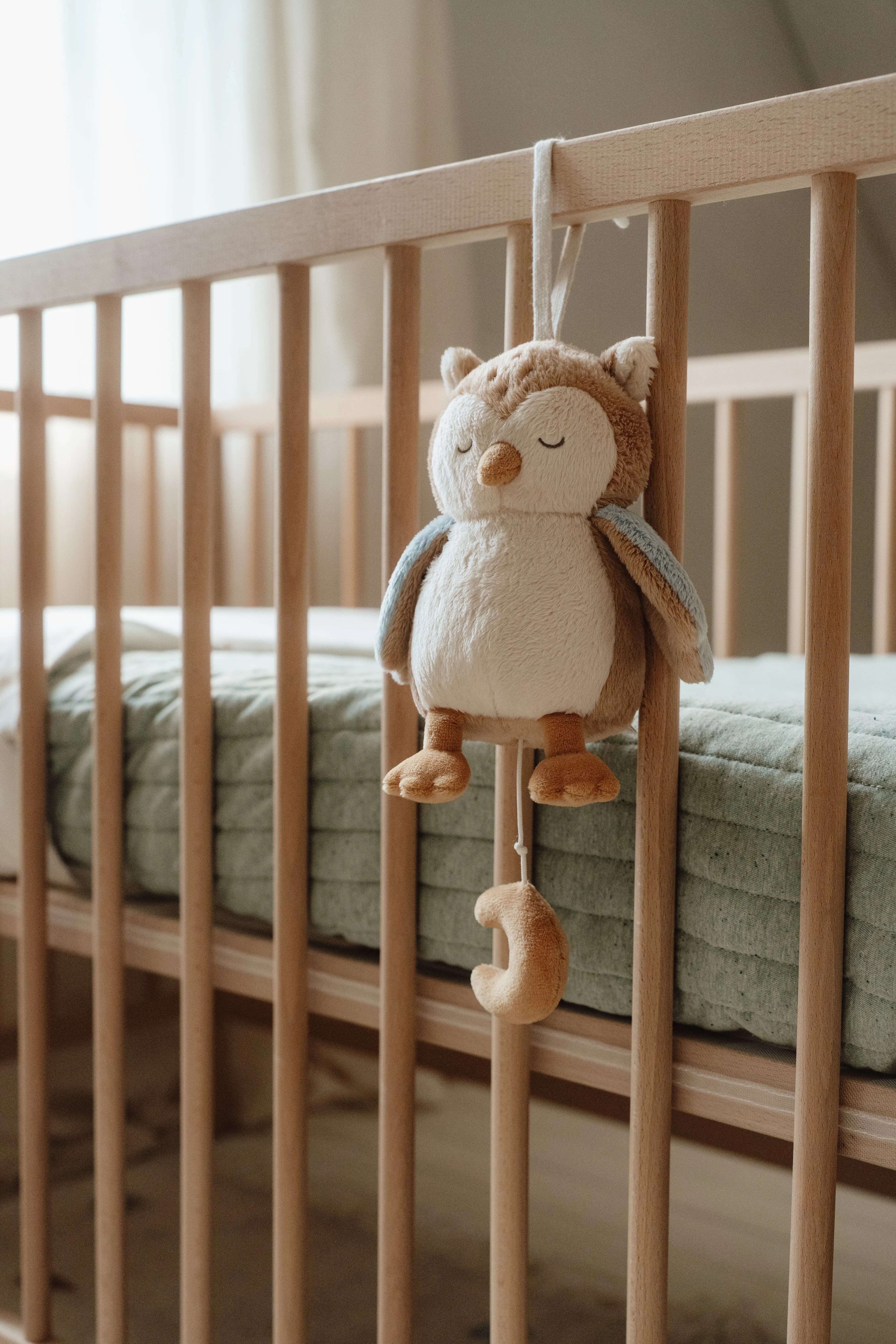 Little Dutch Owl Musical Pull Toy - Forest Friends