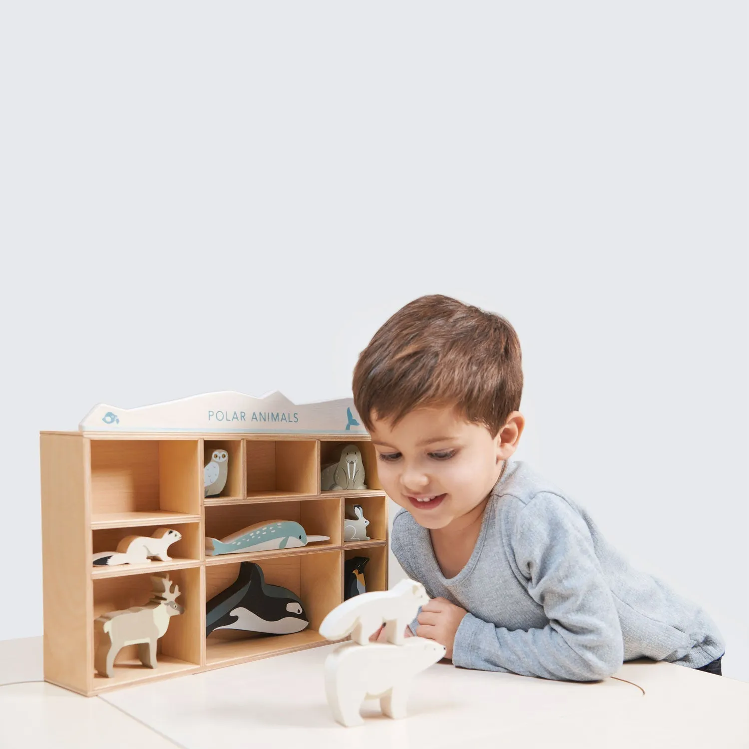 Tender Leaf Toys Wooden Polar Animals Set / Shelf