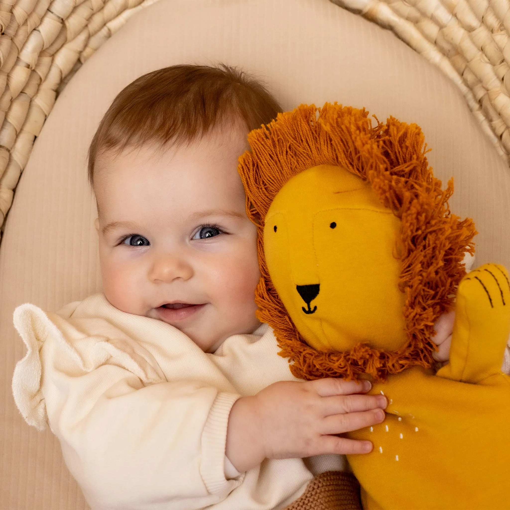 Trixie Plush Toy Small - Mr. Lion