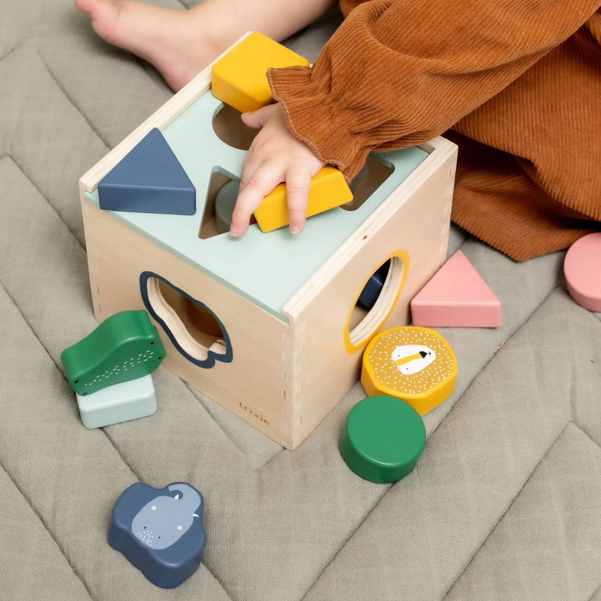 Trixie Wooden Shape Sorter